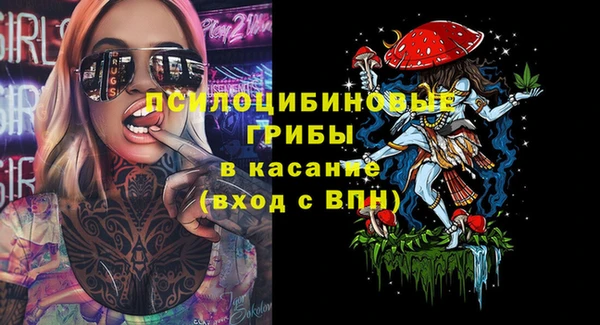 mix Бородино